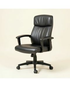 Albaugh Executive Chair (synthetic illustration; no displayed measurements)