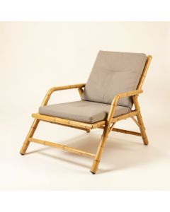 Riedel Recliner Patio Chair (synthetic illustration; no displayed measurements)