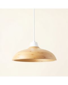 Dawn Arc Pendant Light Suspended From One Plain Cable (synthetic illustration; no displayed measurements)