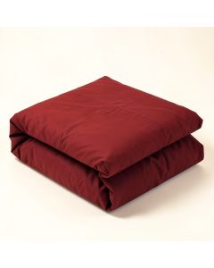Mitchell Egyptian-Quality Cotton 300-Thread Count Solid Duvet Cover Set (synthetic illustration; no displayed measurements)