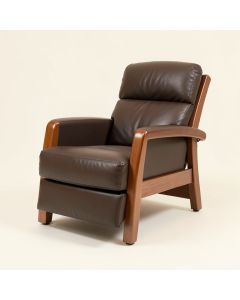 Alkim 26.3 '' Wide Power Lift Assist Standard Recliner (synthetic illustration; no displayed measurements)