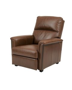 46 '' Wide Faux Leather Power Lift Assist Standard Recliner