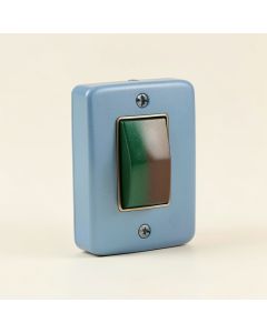 Peacock Proud Single Toggle Light Switch (synthetic illustration; no displayed measurements)