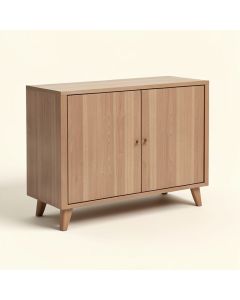 Paloma 2 Doors Accent Cabinet (synthetic illustration; no displayed measurements)
