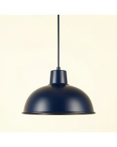 Brook Branch Pendant Light Suspended From One Plain Cable - Navy (synthetic illustration; no displayed measurements)