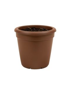 Celestia Self-Watering Plastic Elevated Planter