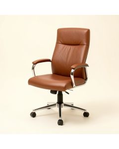 Rachita Task Chair (synthetic illustration; no displayed measurements)