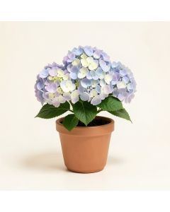 Faux Potted Mini Hydrangea Floral Arrangement In Vase (synthetic illustration; no displayed measurements)