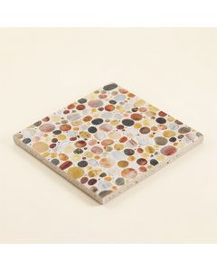 Sting 1 '' X 1 '' Seashell Mosaic Tile (synthetic illustration; no displayed measurements)