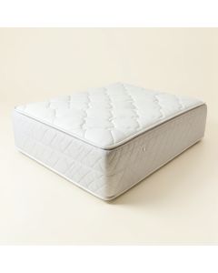 Wayfair Sleep 12 '' Plush Innerspring Mattress (synthetic illustration; no displayed measurements)
