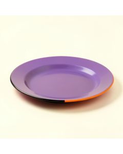 Oasis 9 '' Melamine Salad Plate (synthetic illustration; no displayed measurements)