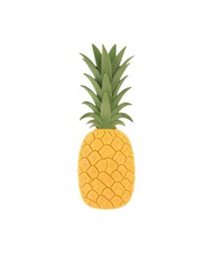 Hagen Pineapple Personalized Standard 3-Line Wall Address Plaque