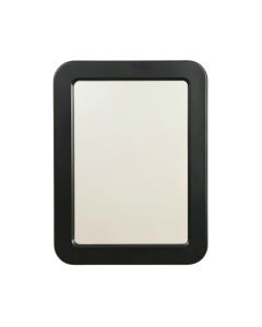 Spruce Branch Framed Wall Mirror - Black
