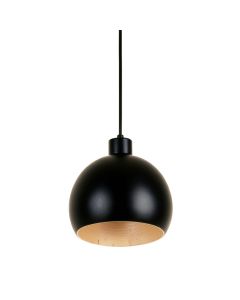 Pine Canyon Pendant Light Suspended From One Plain Cable - Black (synthetic illustration; no displayed measurements)