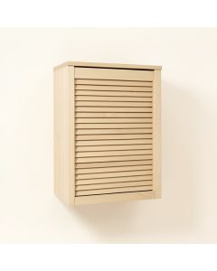 Ash Dell Wall-Mounted Laundry Cabinet - Beige (synthetic illustration; no displayed measurements)