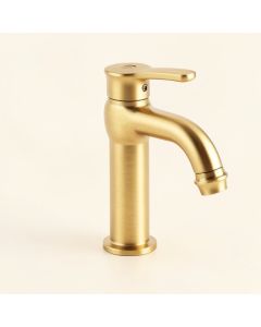 Dryden Single Hole Bathroom Faucet With Drain Assembly (synthetic illustration; no displayed measurements)