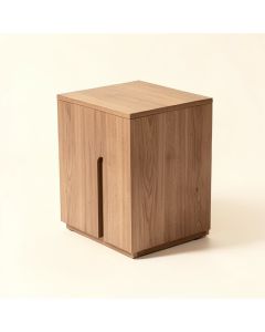 Siloam C End Table (synthetic illustration; no displayed measurements)