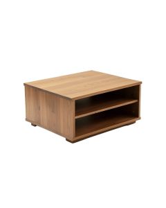 Richins Coffee Table With Storage (synthetic illustration; no displayed measurements)