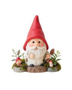 Gnome 7 Piece Fairy Garden Set