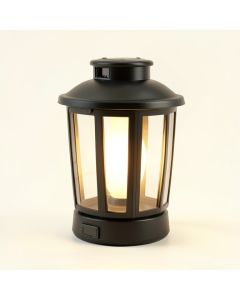 18.5 '' Solar Powered Integrated Led Lawn Ornament (synthetic illustration; no displayed measurements)