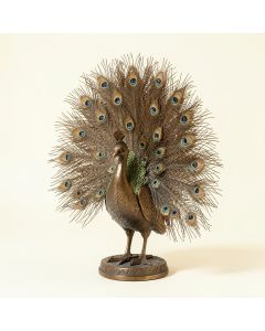 Armanno Outdoor Animal Peacock Metal Garden Statue (synthetic illustration; no displayed measurements)