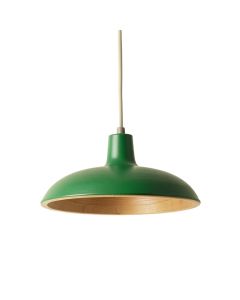 Hazel Bridge Pendant Light Suspended From One Plain Cable - Green (synthetic illustration; no displayed measurements)