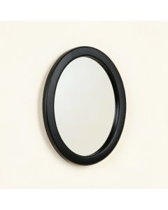 Briar Arc Framed Wall Mirror (synthetic illustration; no displayed measurements)