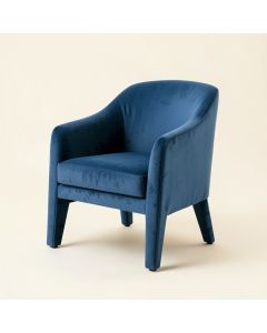 Froholdt Velvet Side Chair In Blue (synthetic illustration; no displayed measurements)