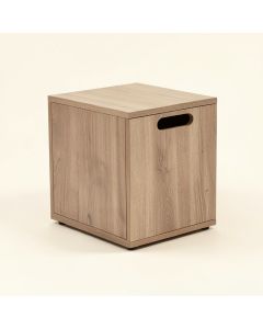 Arwen End Table With Storage (synthetic illustration; no displayed measurements)