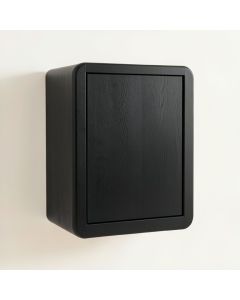 Maple Crossing Wall-Mounted Laundry Cabinet - Black (synthetic illustration; no displayed measurements)