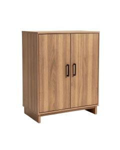 Gartman 2 Door Accent Cabinet (synthetic illustration; no displayed measurements)