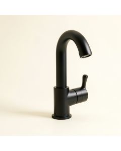 Esina Pull Down Single Handle Kitchen Faucet (synthetic illustration; no displayed measurements)