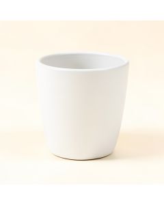 Dawley Clay Pot Planter (synthetic illustration; no displayed measurements)