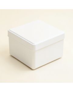 18 '' H X 72 '' W X 20 '' D Plastic Deck Box (synthetic illustration; no displayed measurements)