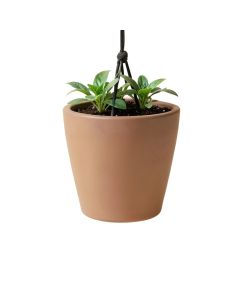 Pollyanna Self-Watering Resin Hanging Planter