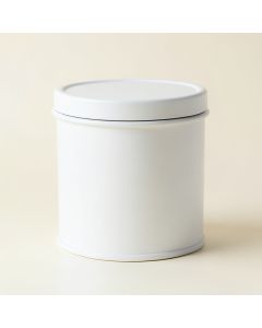 Aspen Branch Storage Canister With Lid - White (synthetic illustration; no displayed measurements)