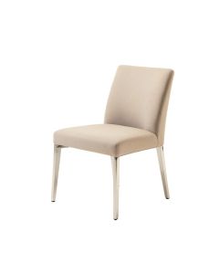 Side Chair In Clear
