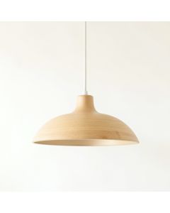 Brook Crossing Pendant Light Suspended From One Plain Cable - Beige (synthetic illustration; no displayed measurements)