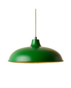 Lake Brook Pendant Light Suspended From One Plain Cable - Green (synthetic illustration; no displayed measurements)