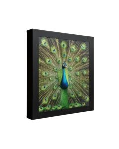 Peacock Puzzle By Valentina Harper - Wrapped Canvas Print (synthetic illustration; no displayed measurements)
