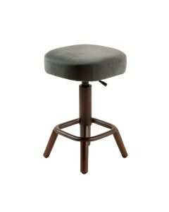 Neriah Swivel Bar & Counter Stool (synthetic illustration; no displayed measurements)