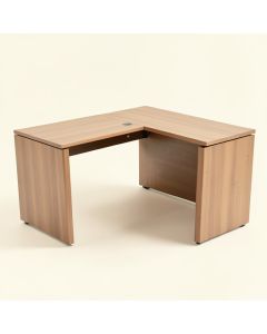 Dagmara L-Shape Executive Desk (synthetic illustration; no displayed measurements)