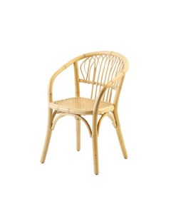 Alder Bridge Dining Chair - Ivory (synthetic illustration; no displayed measurements)