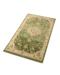 Mohawk Green/Beige Area Rug (synthetic illustration; no displayed measurements)