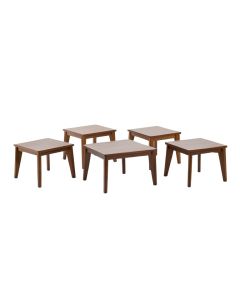 Turner 5 Piece Coffee Table Set (synthetic illustration; no displayed measurements)