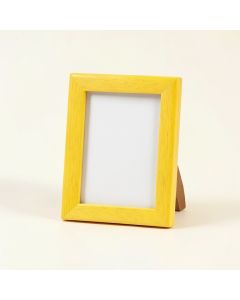 Elephant Picture Frame (synthetic illustration; no displayed measurements)