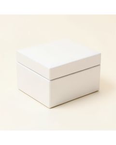 Jewelry Box With Organizer (synthetic illustration; no displayed measurements)