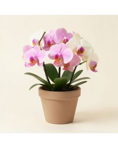 Orchid Floral Arrangement In Pot (synthetic illustration; no displayed measurements)
