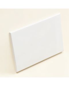 4 '' X 16 '' Ceramic Subway Tile (synthetic illustration; no displayed measurements)