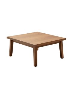 Roger Coffee Table (synthetic illustration; no displayed measurements)